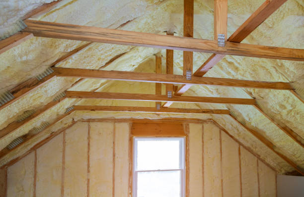 Best Eco-Friendly Insulation in Honey Grove, TX