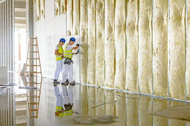 Best Residential Insulation in Honey Grove, TX